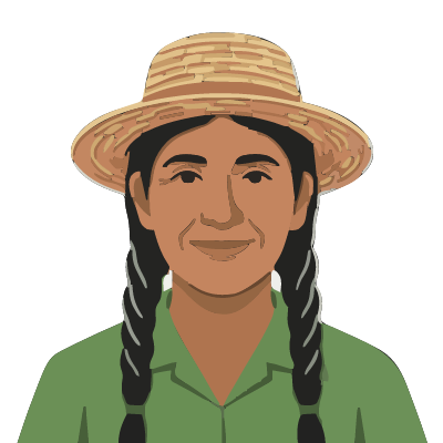 A Quechua woman from the Andes about 58 with medium-brown skin, two long black braids with a few gray strands, a straw hat, a green work shirt. Cut paper style.