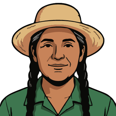 A Quechua woman from the Andes about 58 with medium-brown skin, two long black braids with a few gray strands, a straw hat, a green work shirt. Pop comic style.