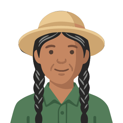 A Quechua woman from the Andes about 58 with medium-brown skin, two long black braids with a few gray strands, a straw hat, a green work shirt. Soft geometric style.
