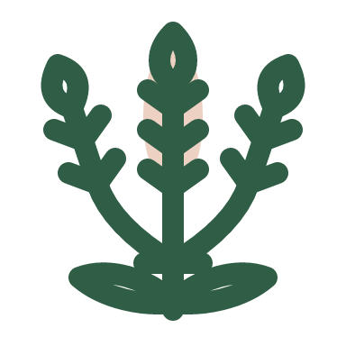 A sprig of lavender standing upright: three slim stems fanning slightly from a tie, each topped with a column of small bud pairs shown as short slanted ticks and a pointed top; two narrow leaves at the base. Few buds, airy, open. The tint fills the center spike.